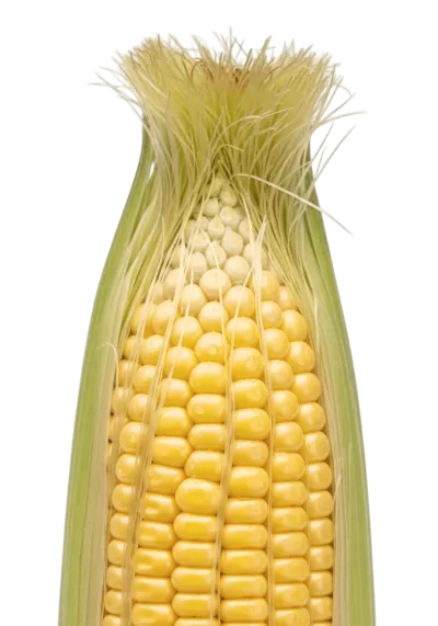 Imagen PNG para descargar